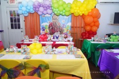 Aniyah First Birthday Party